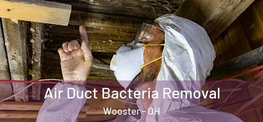  Air Duct Bacteria Removal Wooster - OH
