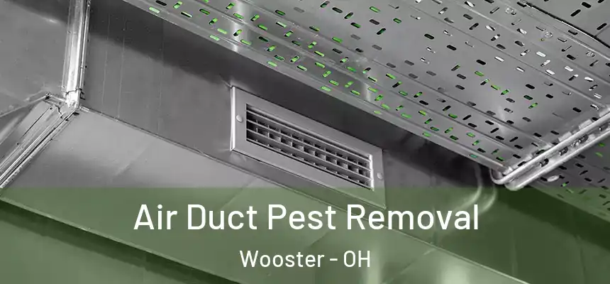 Air Duct Pest Removal Wooster - OH