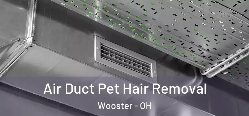  Air Duct Pet Hair Removal Wooster - OH