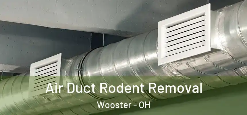  Air Duct Rodent Removal Wooster - OH