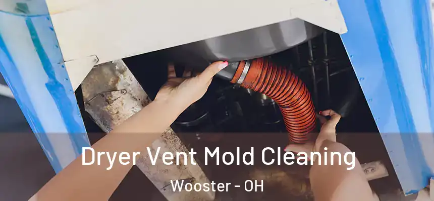  Dryer Vent Mold Cleaning Wooster - OH
