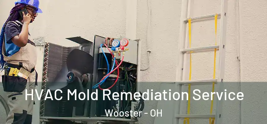  HVAC Mold Remediation Service Wooster - OH