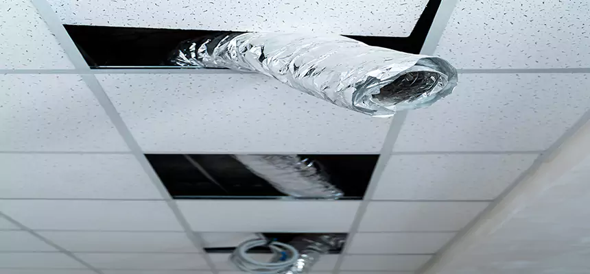 Our Air Duct Pet Hair Removal Services in Wooster, OH