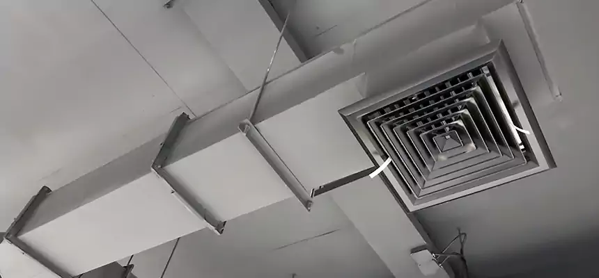 Our Rodent Droppings In Vents Services in Wooster, OH