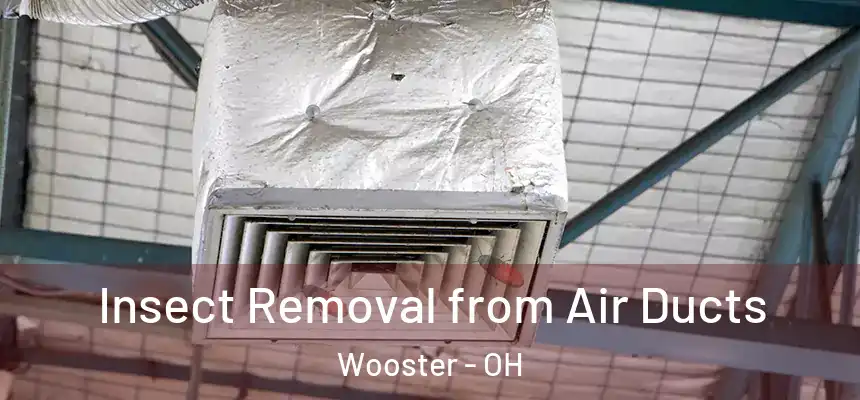 Insect Removal from Air Ducts Wooster - OH