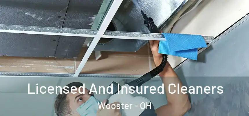  Licensed And Insured Cleaners Wooster - OH