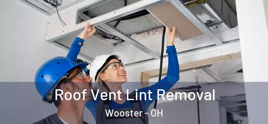 Roof Vent Lint Removal Wooster - OH
