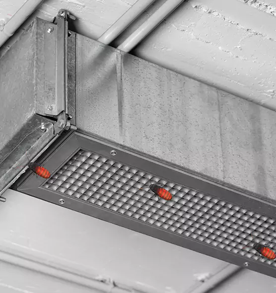 About Air Duct Cockroach Removal in Wooster, OH