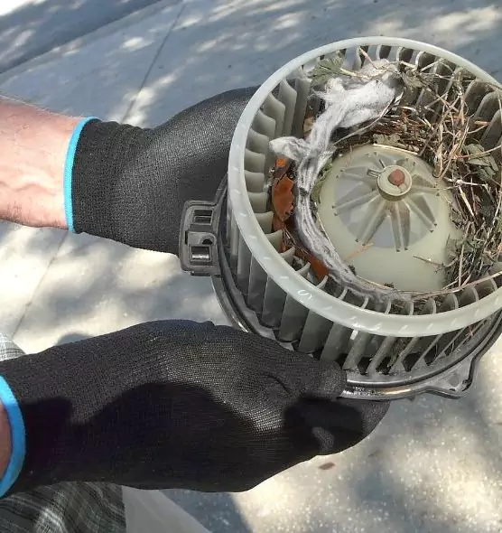 About Air Duct Mice Removal in Wooster, OH